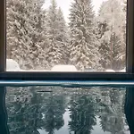 Alpinapartment Enzian Gerlitzen