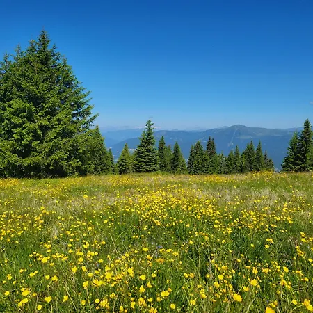 Апартаменты Alpinapartment Enzian Gerlitzen *