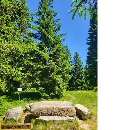 Lägenhet Alpinapartment Enzian Gerlitzen *