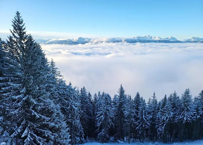 Alpinapartment Enzian Gerlitzen Kanzelhohe
