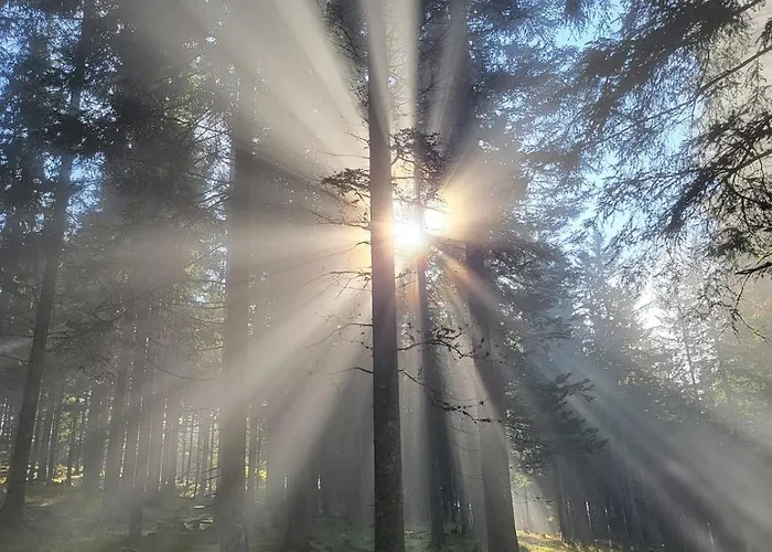 Апартаменты Alpinapartment Enzian Gerlitzen