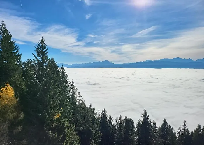 Alpinapartment Enzian Gerlitzen Апартаменты *