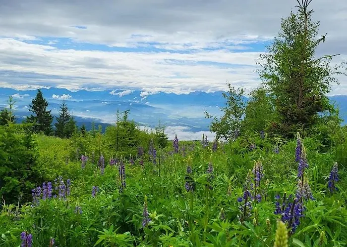 Alpinapartment Enzian Gerlitzen *