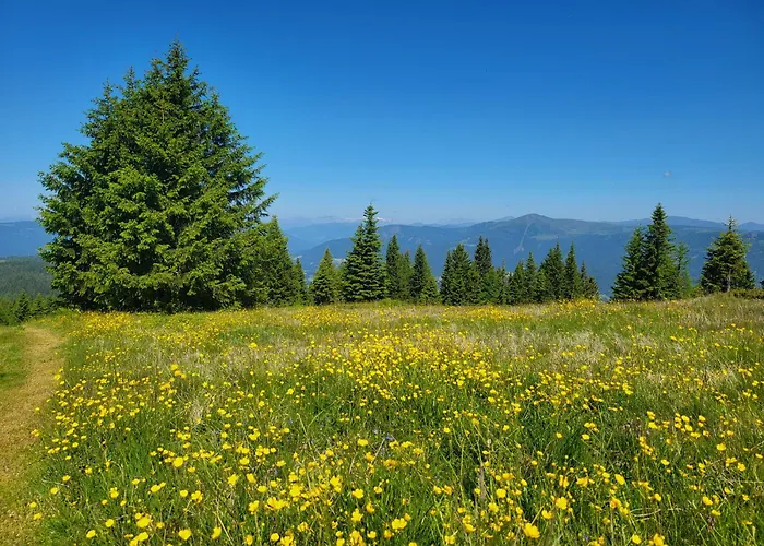 Apartament Alpinapartment Enzian Gerlitzen *