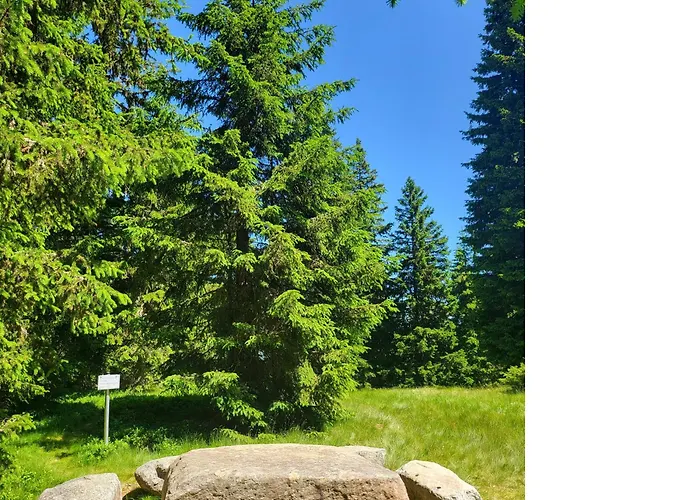 Апартаменты Alpinapartment Enzian Gerlitzen *