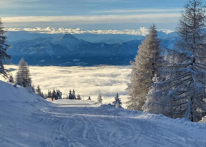 Alpinapartment Enzian Gerlitzen Апартаменты