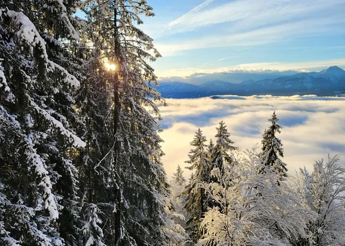 Apartament Alpinapartment Enzian Gerlitzen *